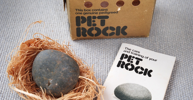 pet-rock