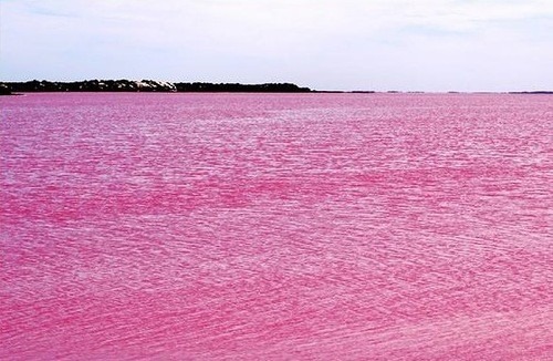 Pink-water
