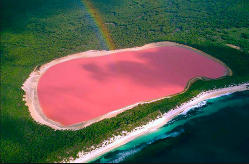 pink-lake