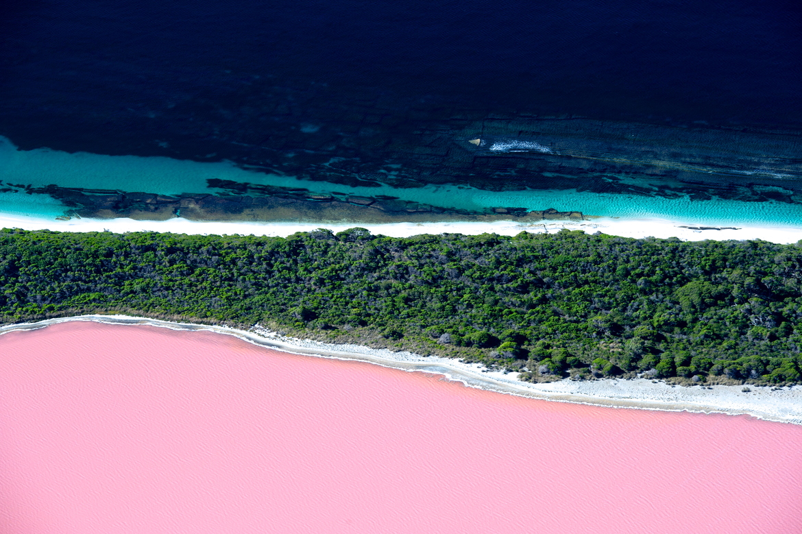 pink lake