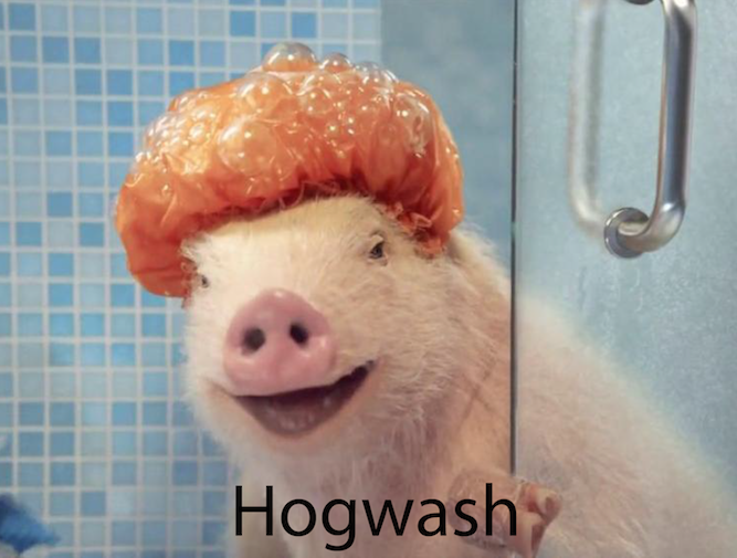 hogwash